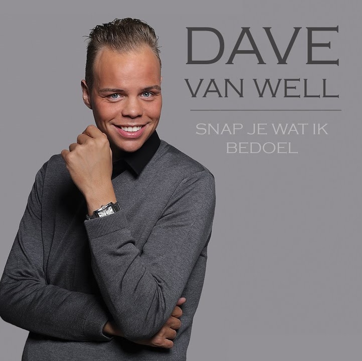 Snap je wat ik bedoel by Dave van Well (Album)