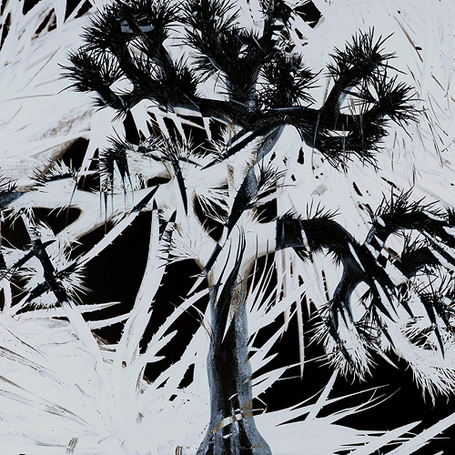 ミュージシャン Plastic Tree Photo Plastic Tree self-titled album release - News - JROCK ONE