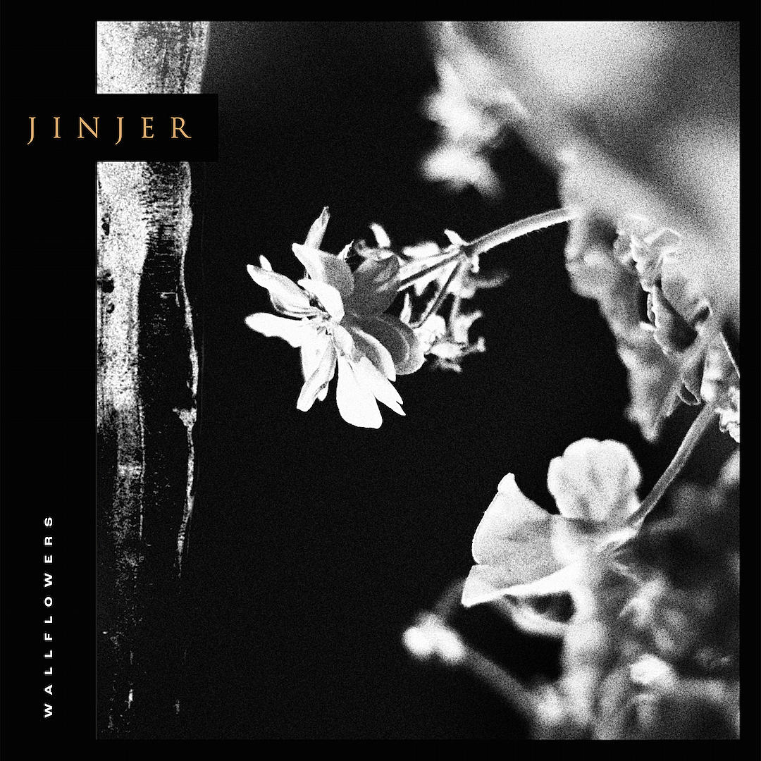 Wallflowers by Jinjer (Album, Progressive Metal) Reviews, Ratings