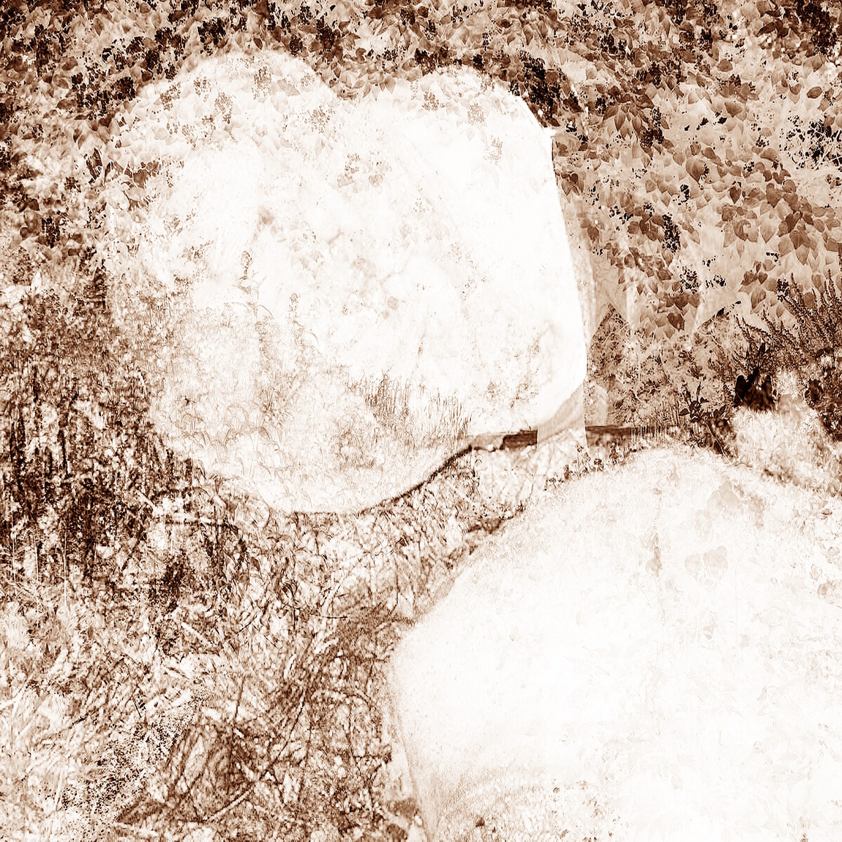 Rotting From Within Inside a White Chamber by Void of Nothingness (EP ...