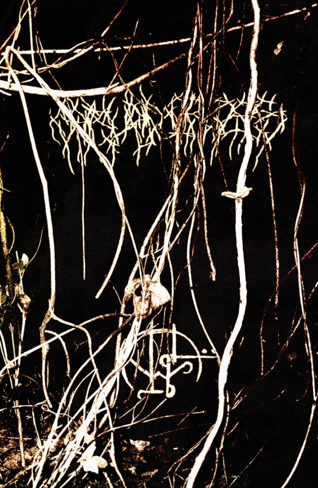 Phantom Feel Albums: songs, discography, biography, and listening guide ...