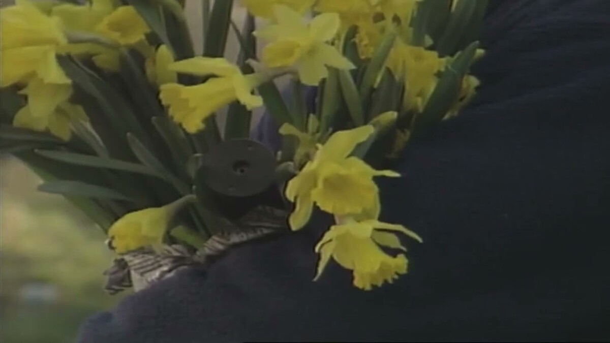 dean blunt & Elias Rønnenfelt lucre Lucre by Dean Blunt & Elias Rønnenfelt (EP, Indie Rock