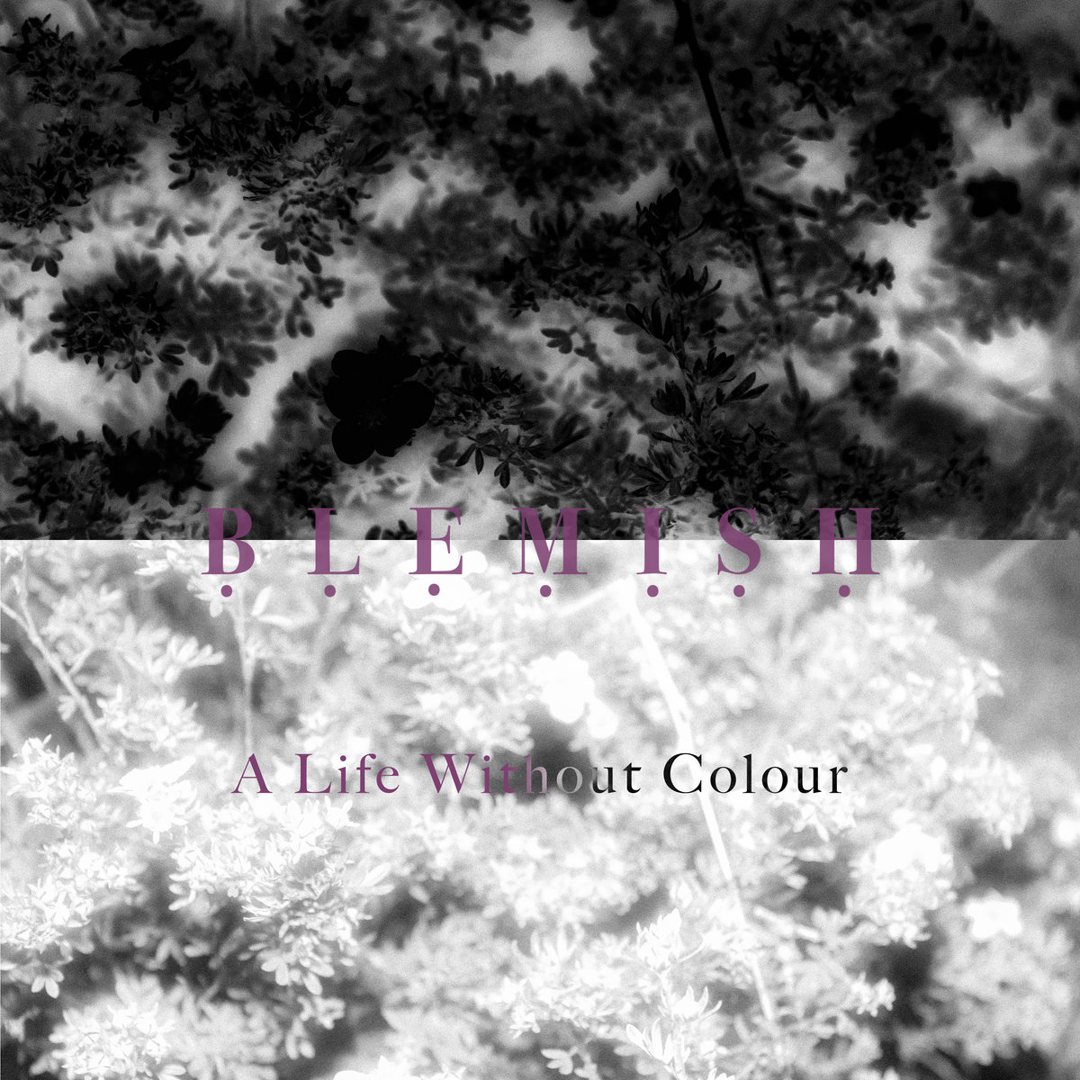 A Life Without Colour by Blemish (EP): Reviews, Ratings, Credits, Song ...
