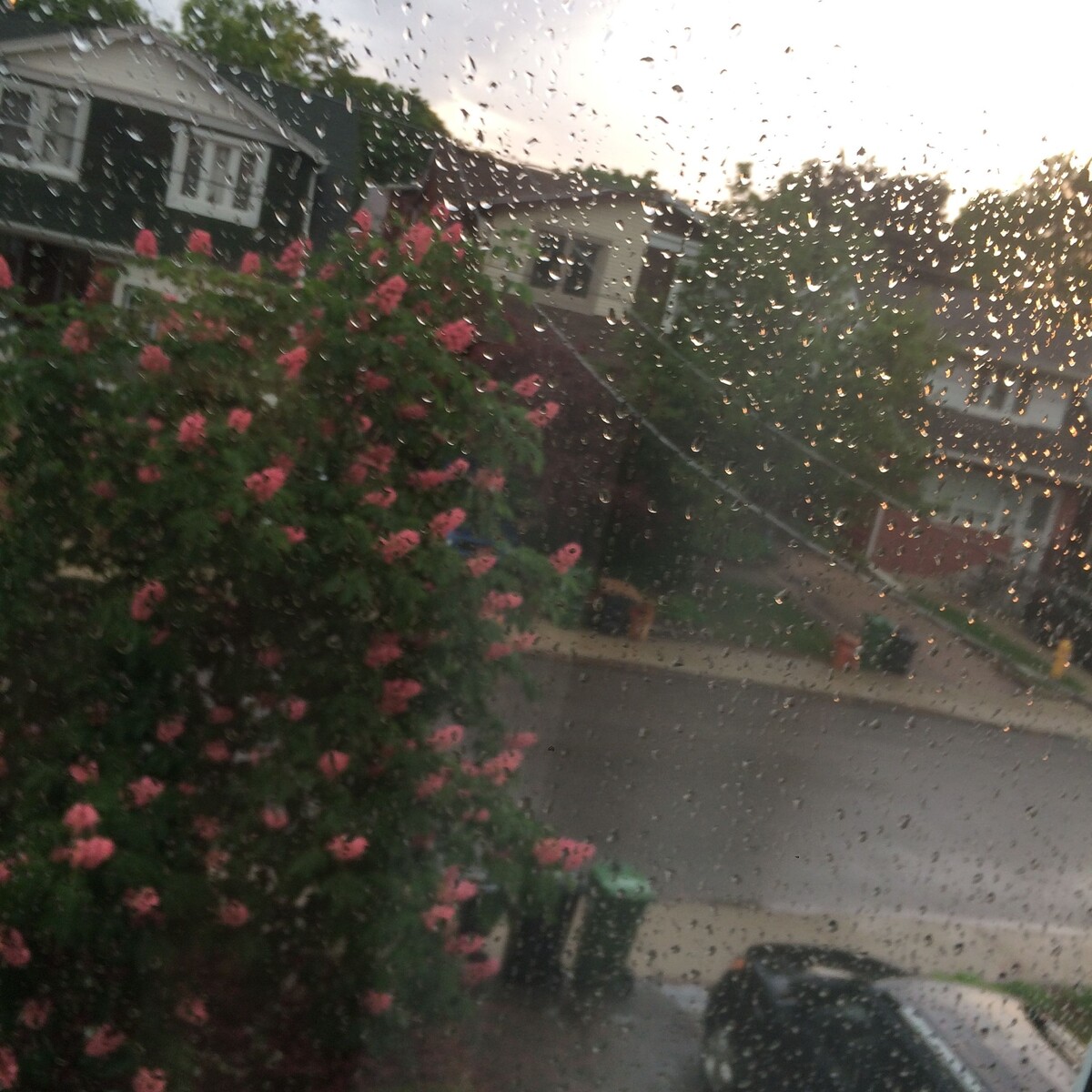 Dangerous by 9TAILS (Single): Reviews, Ratings, Credits, Song list ...