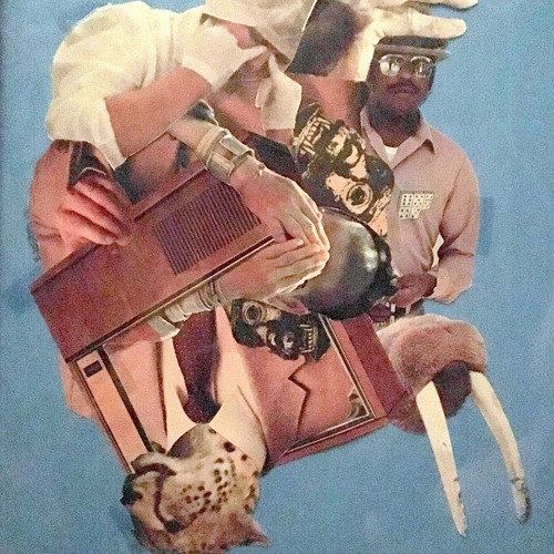 Walrus Attack Albums: songs, discography, biography, and listening ...
