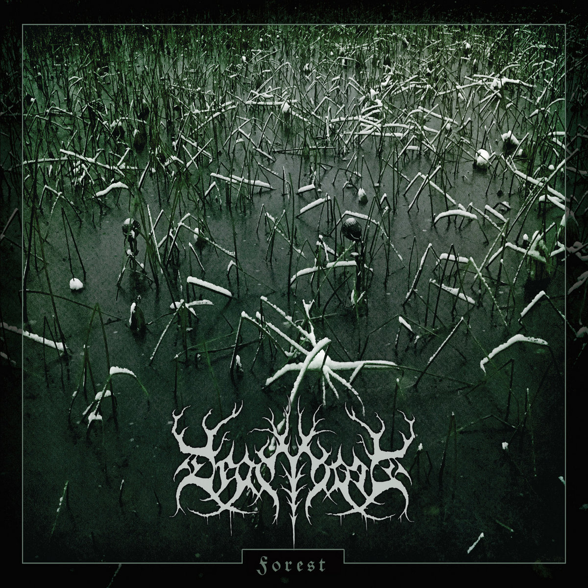 Deadtrees Albums Songs Discography Biography And Listening Guide