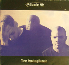 These Branching Moments by Wamdue Kids (Album; Peacefrog; PF059 