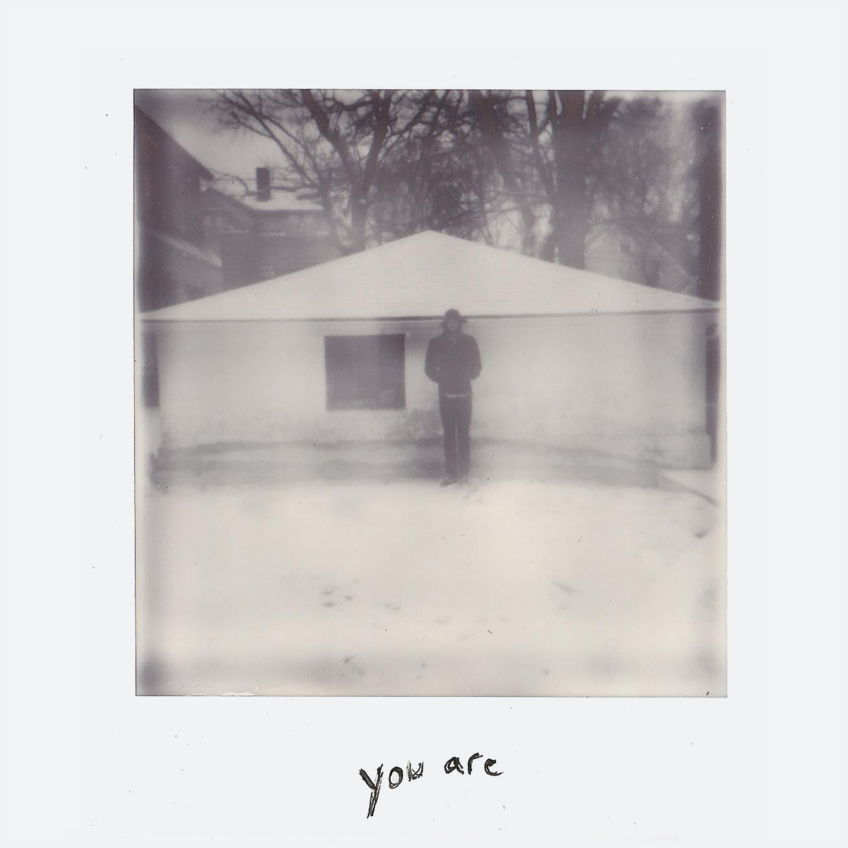 Twin Foxes Albums: songs, discography, biography, and listening guide ...