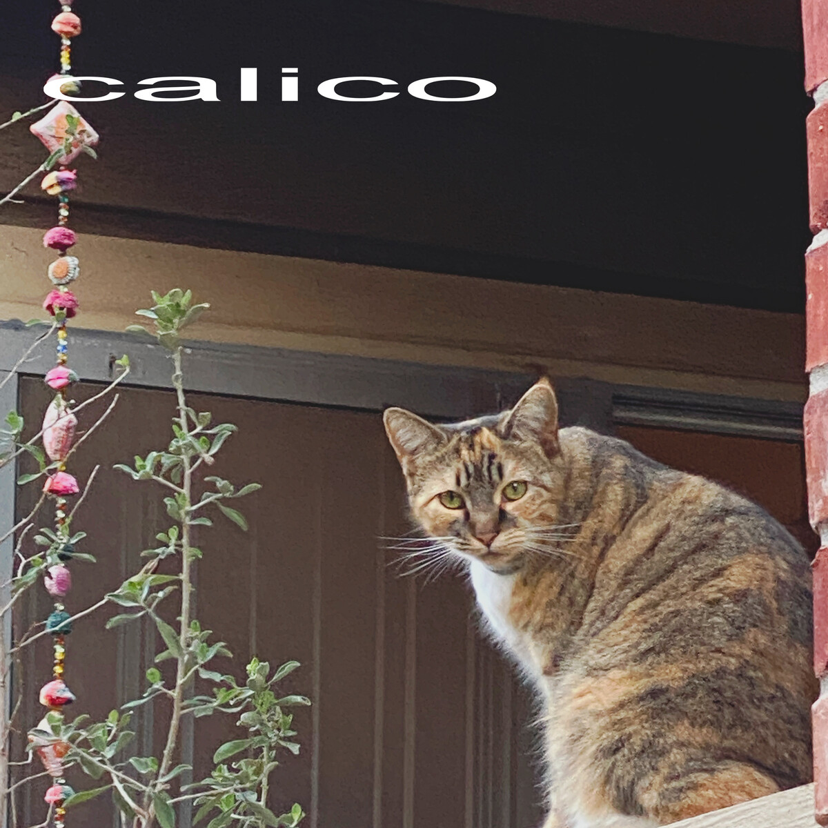 Calico by Bee Blackwell (EP): Reviews, Ratings, Credits, Song list ...