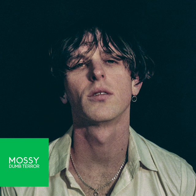 Dumb Terror by MOSSY (Single): Reviews, Ratings, Credits, Song list ...