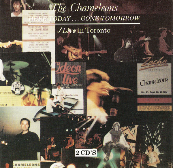 洋楽 THE CHAMELEONS The Chameleons – Here Today Gone Tomorrow – Vinyl (LP