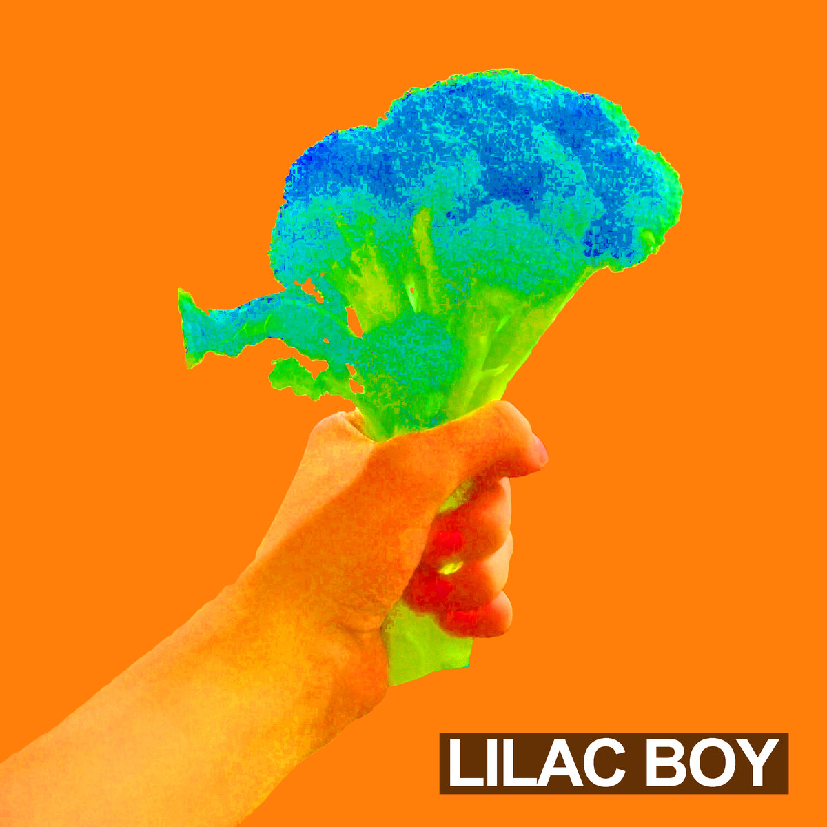 Bouquet by Lilac Boy (EP, Hypnagogic Pop): Reviews, Ratings, Credits ...