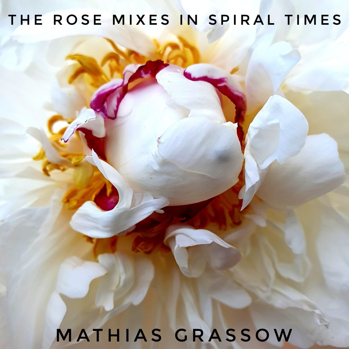 The Rose Mixes in Spiral Times by Mathias Grassow (Album, Drone ...