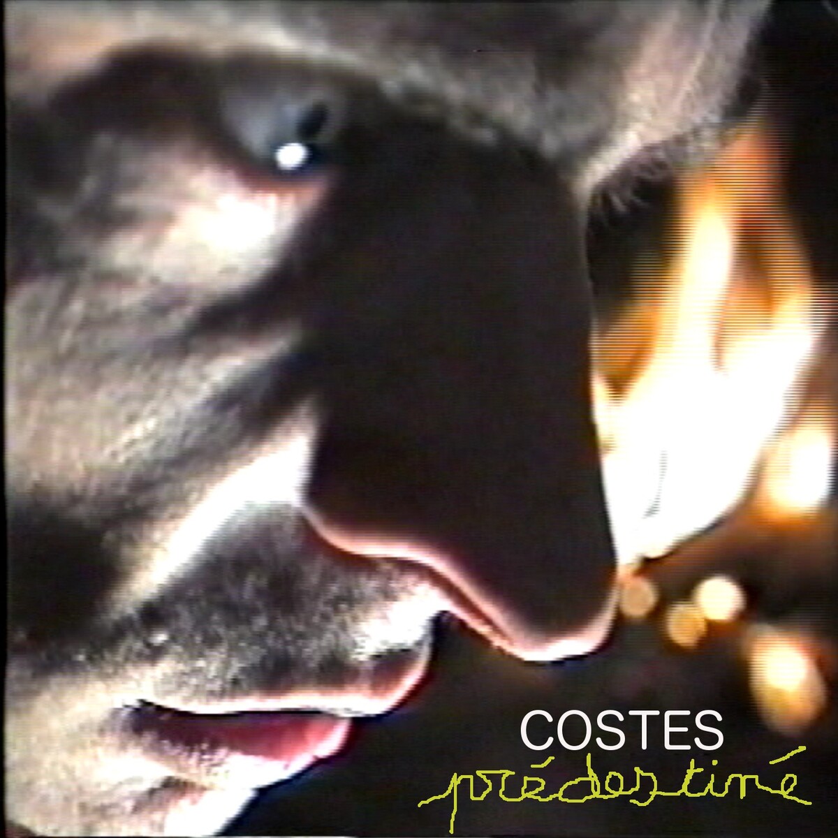 Prédestiné by Costes (Album): Reviews, Ratings, Credits, Song list ...