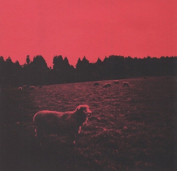 syrup16g Albums: songs, discography, biography, and listening 