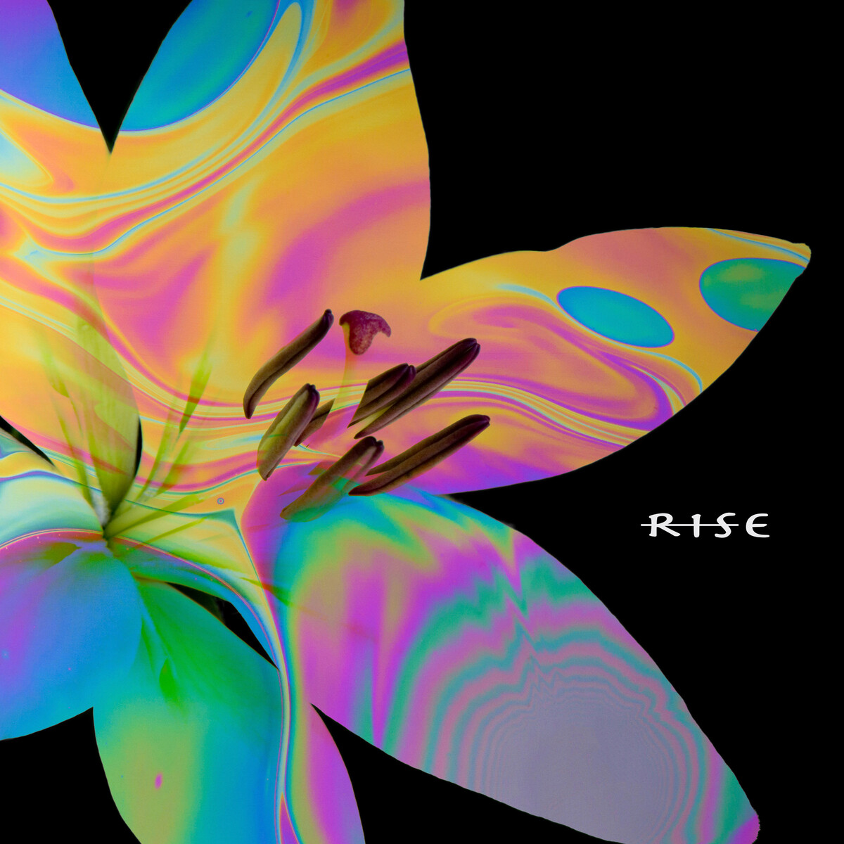 Rise by Aztek (Album, Trap [EDM]): Reviews, Ratings, Credits, Song list ...