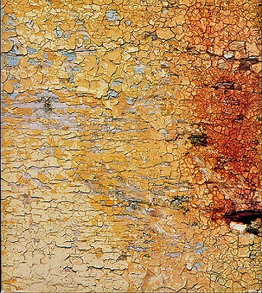 最終決算 Playing the Orchestra by Ryuichi Sakamoto (Album, Modern ミュージック