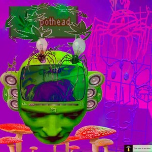 INSECTENJOYER420 - Rate Your Music