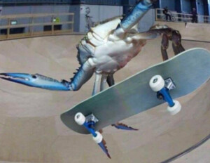 crab