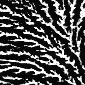 洋楽 COVER THE WINDOWS AND THE WALLS/GROUPER Mi0zODU3LmpwZWc.jpeg