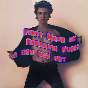 RYM Ultimate Box Set > First Wave of American Punk - Rate Your Music
