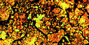 Embers From Yesterday, Aflame. (Film, Experimental): Reviews, Ratings ...