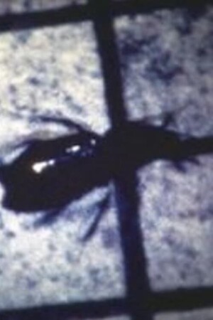 INSECT (Film, Experimental): Reviews, Ratings, Cast and Crew - Rate ...