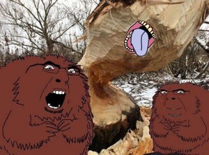 Daily Best Track - Rate Your Music