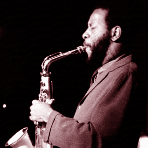 Hallelujah, Anyway- Remembering Tom Cora Tom Cora Discography