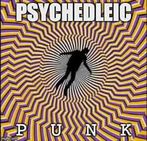 Psychedelic PUNK ☢ Anarchy In The Acid - Rate Your Music