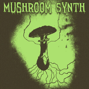 RYM Ultimate Box Set > Mushroom Synth - Rate Your Music