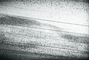 Starlings (Film, Experimental): Reviews, Ratings, Cast and Crew - Rate ...