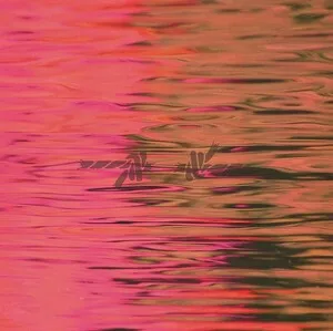 Dead Reflection by Silverstein album cover