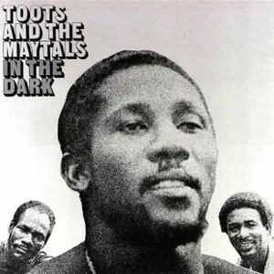 In the Dark by Toots & The Maytals album cover