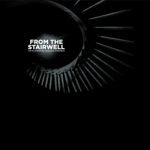 From the Stairwell by The Kilimanjaro Darkjazz Ensemble album cover