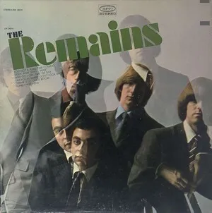 The Remains by The Remains album cover