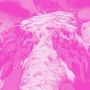 A Field Guide to Phantasmic Birds by Kate Carr album cover