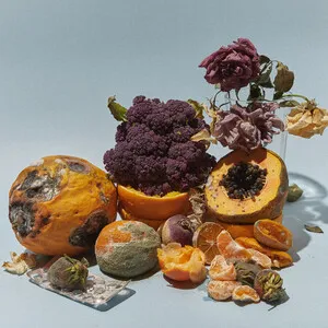 Rastilho by Kiko Dinucci album cover