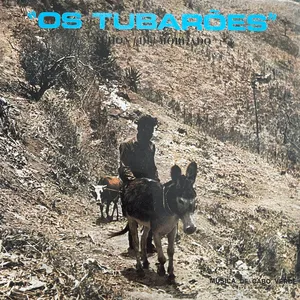 Tchon di Morgado by Os Tubarões album cover