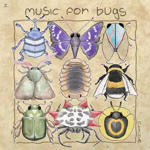 Music for Bugs by camiidae album cover