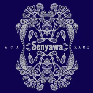 Acaraki by Senyawa album cover