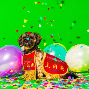 Jodeki 上出来 by tricot album cover