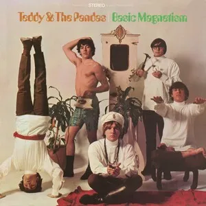 Basic Magnetism by Teddy & The Pandas album cover