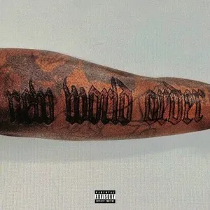 New World Order by Fimiguerrero album cover