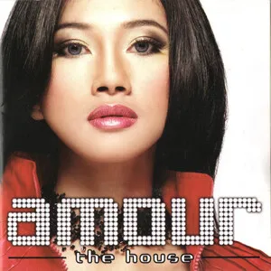 The House by Amour album cover