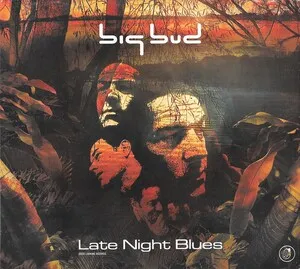 Late Night Blues by Big Bud album cover
