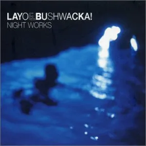Night Works by Layo & Bushwacka! album cover
