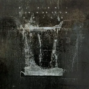 Upics by Bjarni Gunnarsson album cover