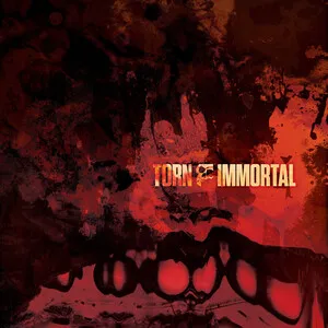 Immortal by Torn album cover