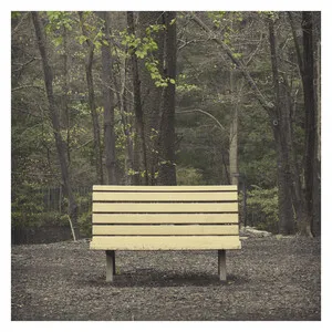 The Hands That Thieve by Streetlight Manifesto album cover